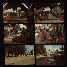 Photograph - Colour, Chatham-Holmes Collection: Philip and Elizabeth Chatham in Fiji