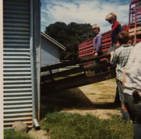 Photograph - Photograph - Colour, Chatham-Holmes Collection: Woolshed at "Launchely" Ascot, Victoria