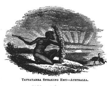 Image - Black and White, George French Angus, Tattayarra Sneaking Emu, c1847