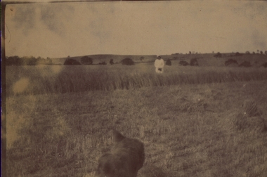 Photograph - sepia, Chatham-Holmes Collection: Unknown locations