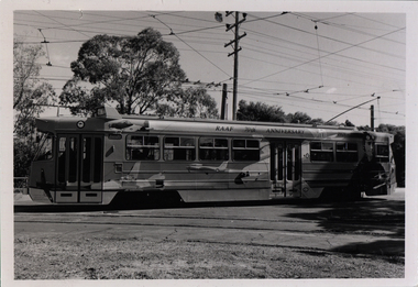 Photograph - Colour, "RAAF 70th Anniversary" Art Tram, 1991, 1991