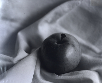 Photograph, Apple [Study in Light], 1990s