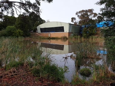 Photograph - Colour, Federation University Pool on Mt Helen Campus, 2019, 11/05/2019