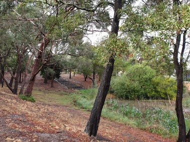Photograph - Colour, Dam on Mt Helen Campus, 2019, 11/05/2019