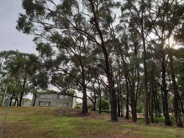 Photograph - Colour, Bella Guerin Student Residences on Mt Helen Campus, 2019, 11/05/2019