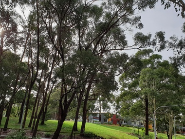 Photograph - Colour, Peter Lalor Student Residences on Mt Helen Campus, 2019, 11/05/2019