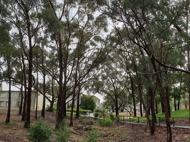 Photograph - Colour, Bella Guerin Student Residences on Mt Helen Campus, 2019, 11/05/2019