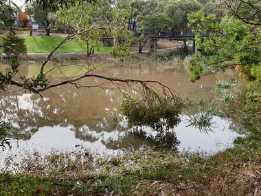 Photograph - Colour, Dam on Mt Helen Campus, 2019, 11/05/2019