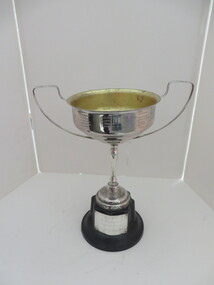 Trophy, Six Meter Henk Miller Line Special: 1975 - 1986, 1975