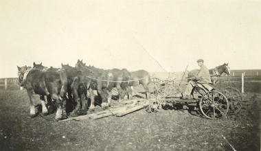 A man works a paddock with a team of horses