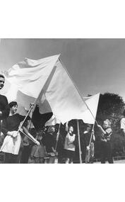 A number of people holding flags