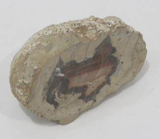 Rocks, A variety of slabs, such as Jasper, thunder egg, etc