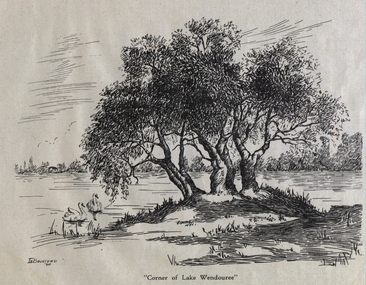 Artwork - Image of drawing, I.E. Boustead, Image of drawing of "Corner of Lake Wendouree" by I.E Boustead, 1940