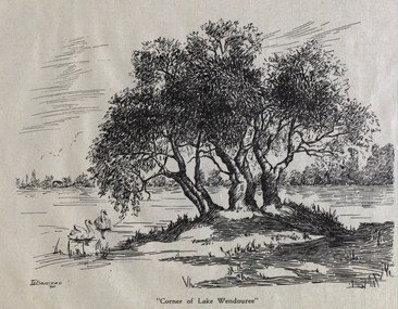 Print - Artwork - Image of drawing, I.E. Boustead, Image of drawing of "Corner of Lake Wendouree" by I.E Boustead, 1940