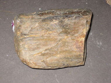 Geological specimen - Rocks, Petrified Wood