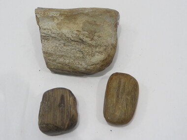 Petrified Wood