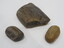 Petrified Wood