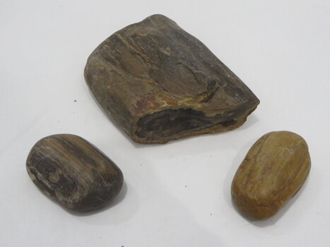 Petrified Wood