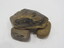 Petrified Wood