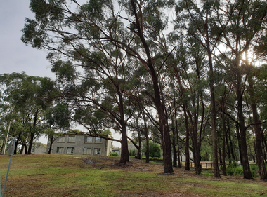 Photograph - Photograph - Colour, Federation University Student Residences, 2019, 02/05/2019