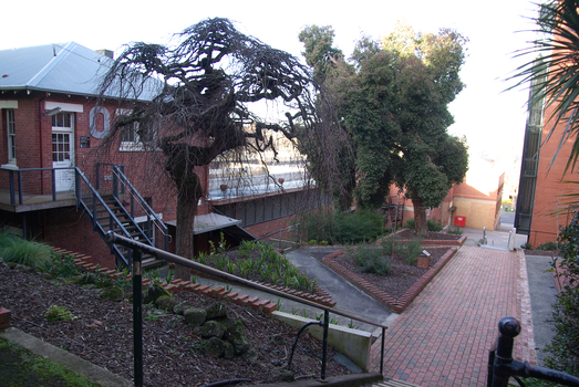 A garden at the Ballarat School of Mines
