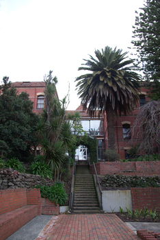 Garden at the Ballarat School of Mines