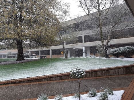 Snow in a courtyard