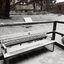 snow on a bench