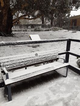 snow on a bench