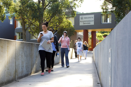 Students walk across a bridge