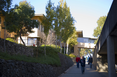 Photograph - Colour Photograph, Federation University Mount Helen H Building, 21/05/2010