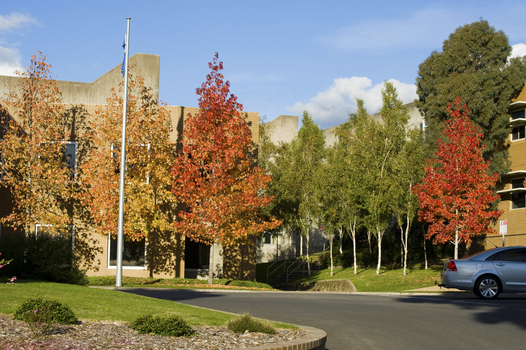 Autumn colouring at the Mount Helen Entrance