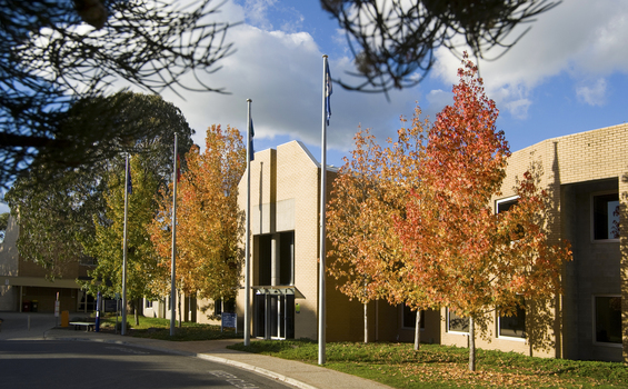 Autumn Colouring on Mt Helen