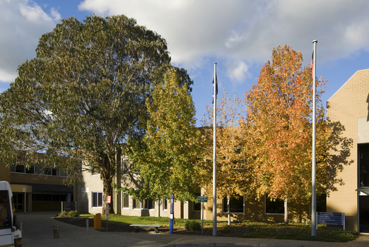 Autumn colouring at Mt Helen