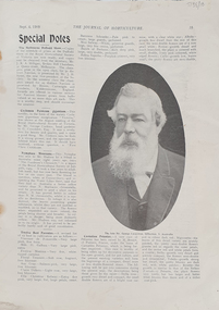 Magazine, The Journal of Horticulture, 1909