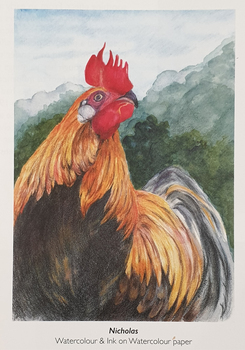 Rooster