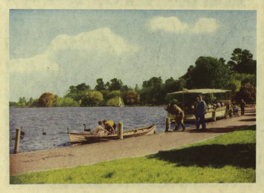 Photograph, Paddle Boats on Lake Wendouree