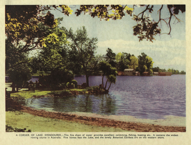 Photograph, A Corner of Lake Wendouree