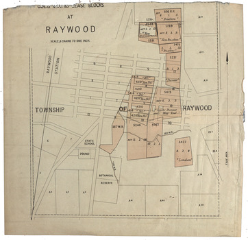 Plan of Raywood Gold Mining Lease Blocks