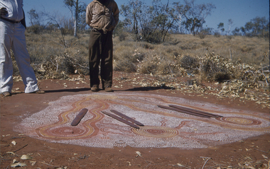 Slide, Warrabri Bush Rat Dreaming Ground Painting, 1960