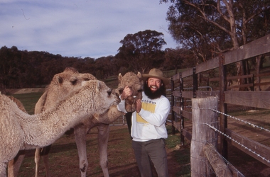 Photograph, Sedgewick Camel Farm, c1990