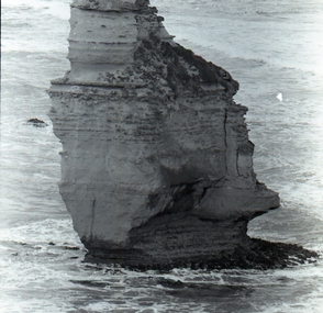 Photograph, Geology Excursion near the Twelve Apostles, Great Ocean Road