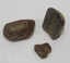 Petrified Wood