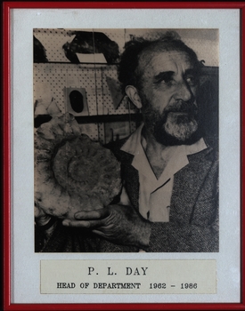 Portrait of a man