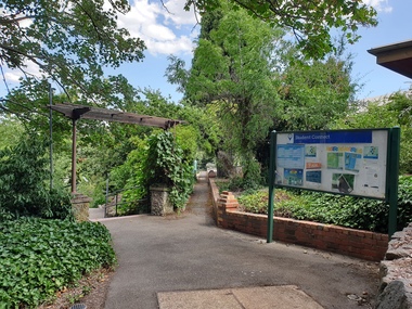 Photograph, Clare Gervasoni, Ballarat Junior Technical School Terrace Garden, 2020