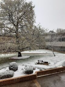 Photograph - Snow, Lucie Akers, Snow at Federation University Mt Helen Campus, 25/09/2020