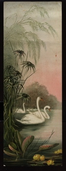 [swans in lake]