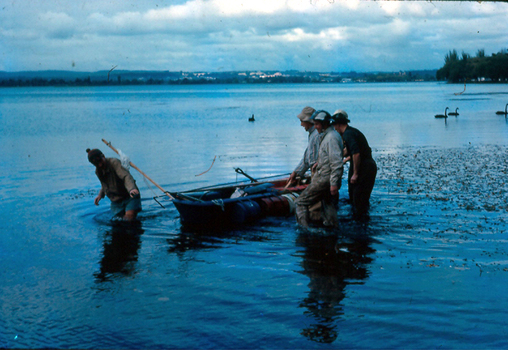 A bath on Lake Wendouree