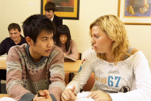 Two students working together