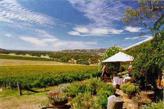 Winery 